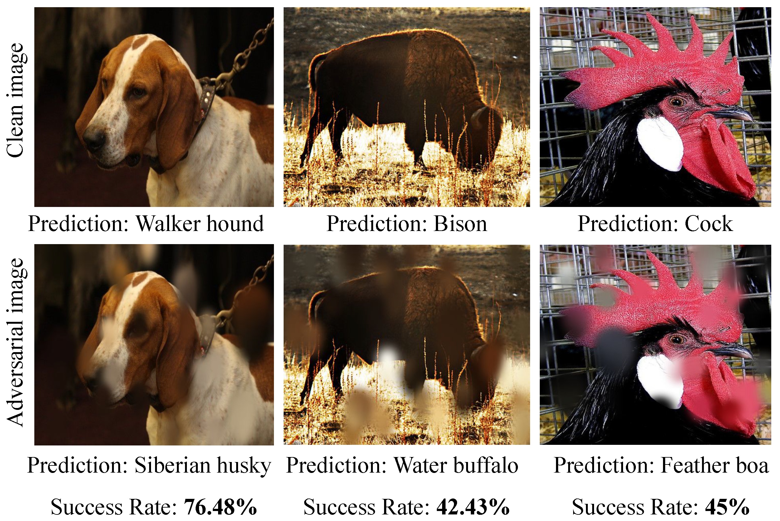 Information 14 00634 g002