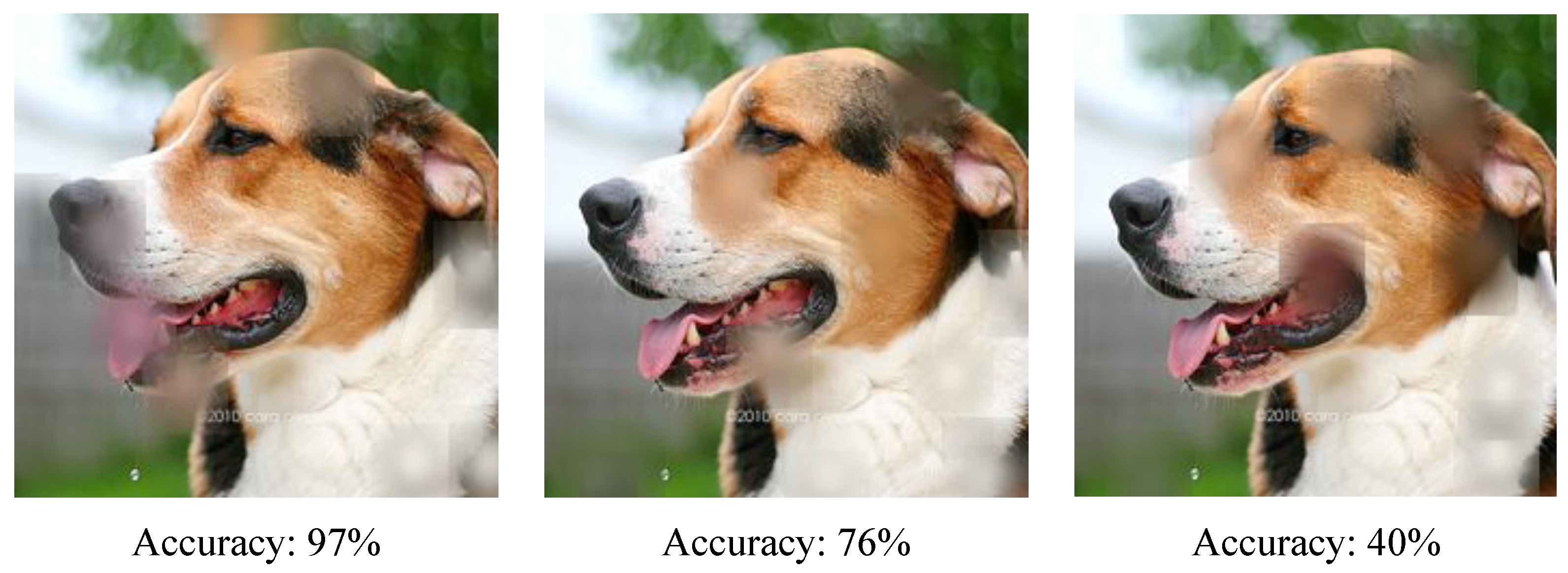 Information 14 00634 g009