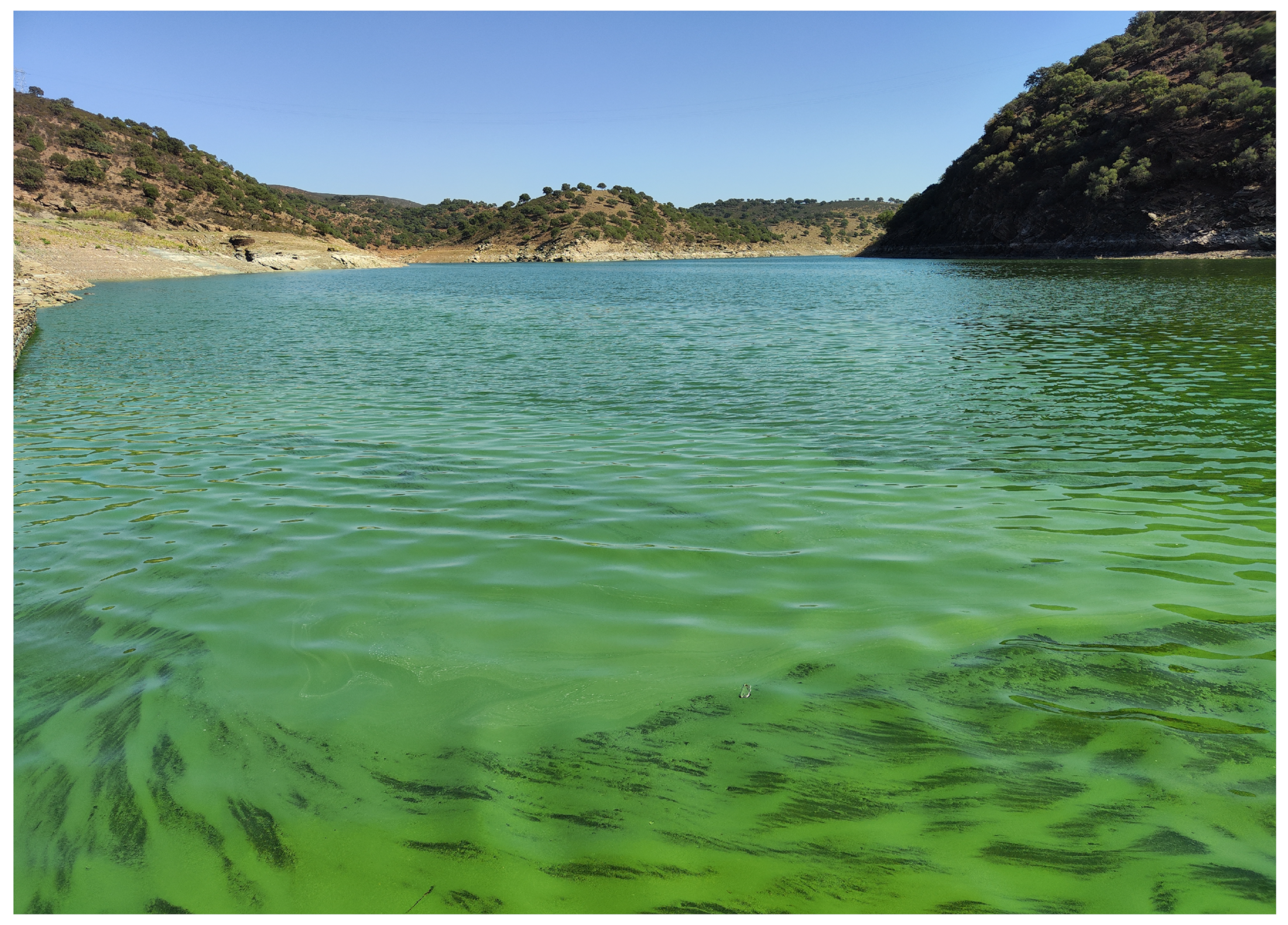 Information 15 00267 g001