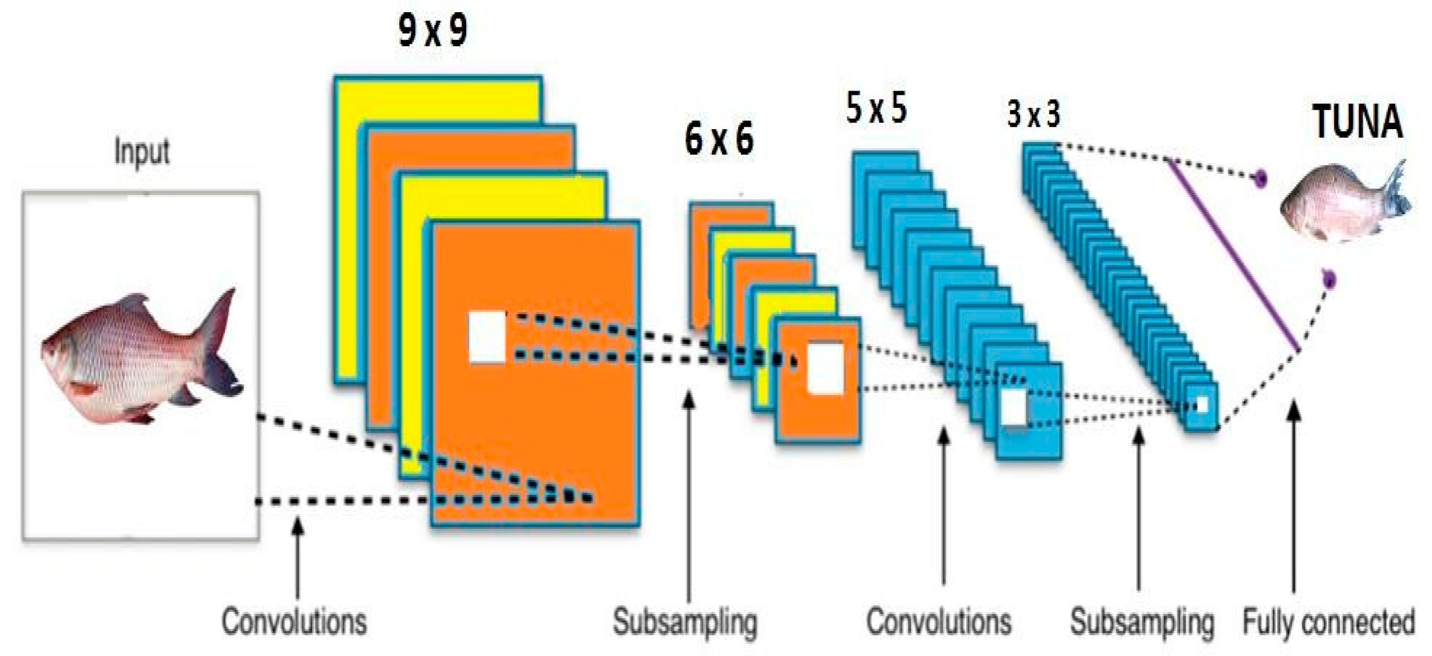 Information 15 00324 g011