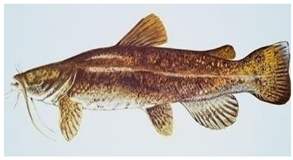 Information 15 00324 i005