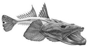 Information 15 00324 i006