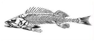 Information 15 00324 i008