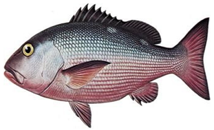 Information 15 00324 i009