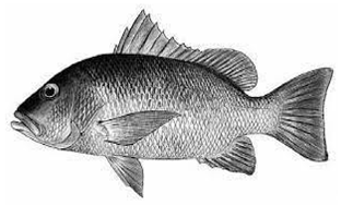 Information 15 00324 i010