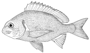 Information 15 00324 i012