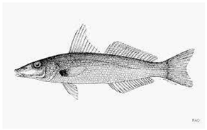 Information 15 00324 i014