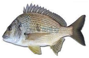 Information 15 00324 i015