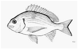 Information 15 00324 i016