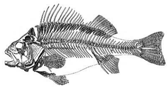 Information 15 00324 i018