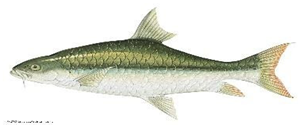 Information 15 00324 i023