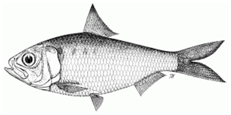 Information 15 00324 i026