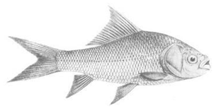 Information 15 00324 i028