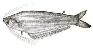 Information 15 00324 i030