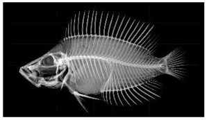 Information 15 00324 i032