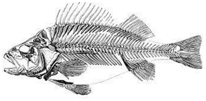 Information 15 00324 i034