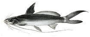 Information 15 00324 i038