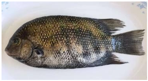 Information 15 00324 i039