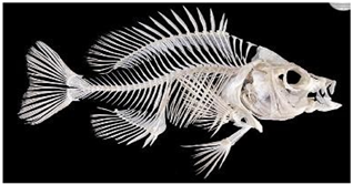 Information 15 00324 i040