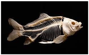 Information 15 00324 i042