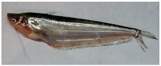 Information 15 00324 i047