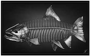 Information 15 00324 i050