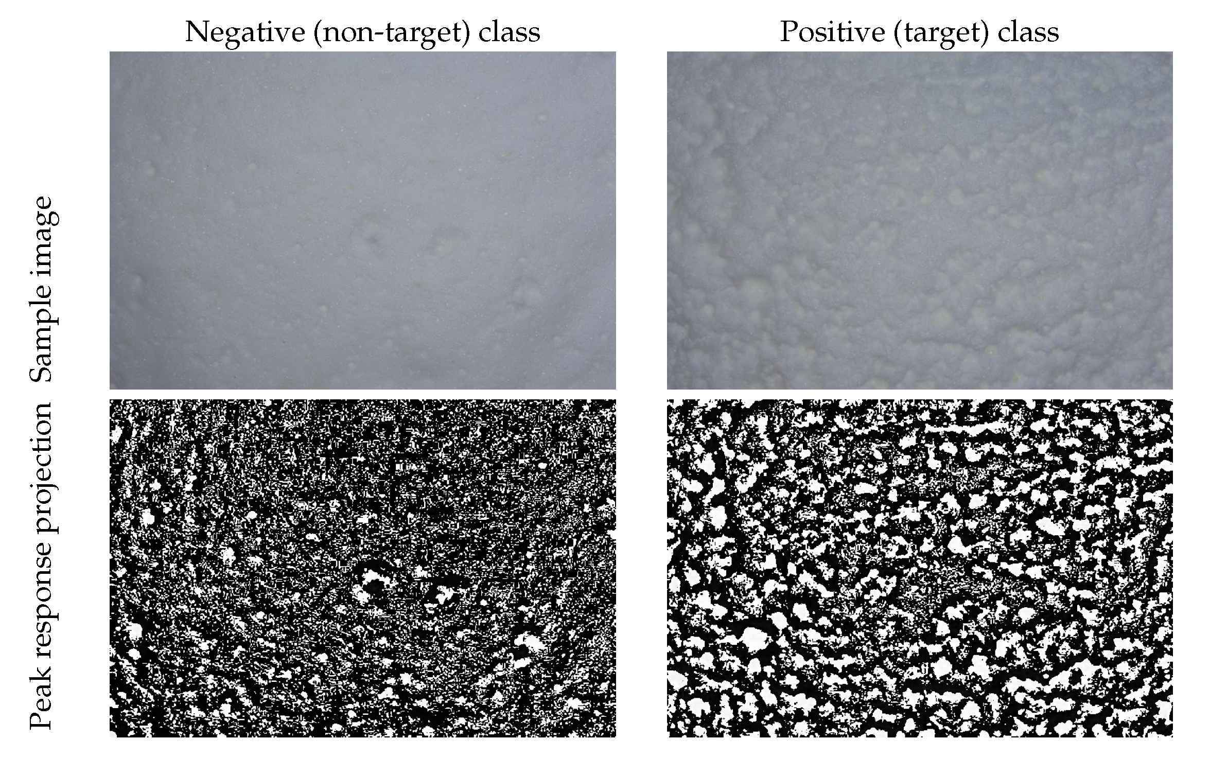 Information 15 00360 g001