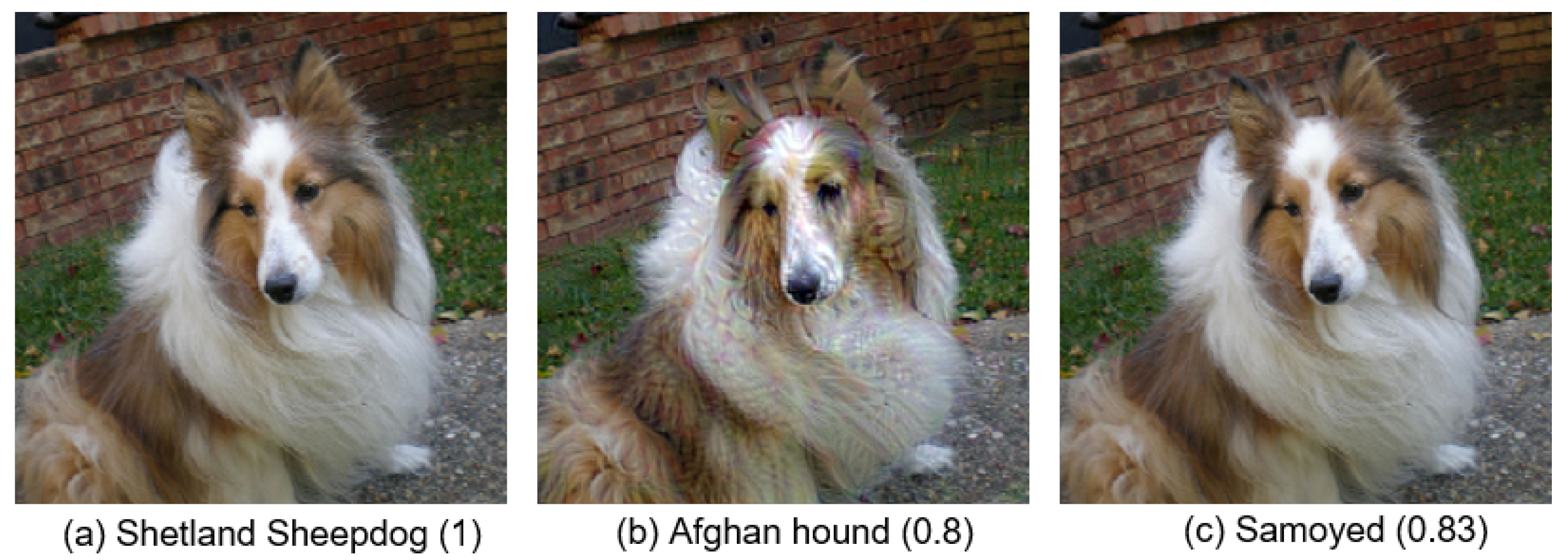 Information 15 00391 g005