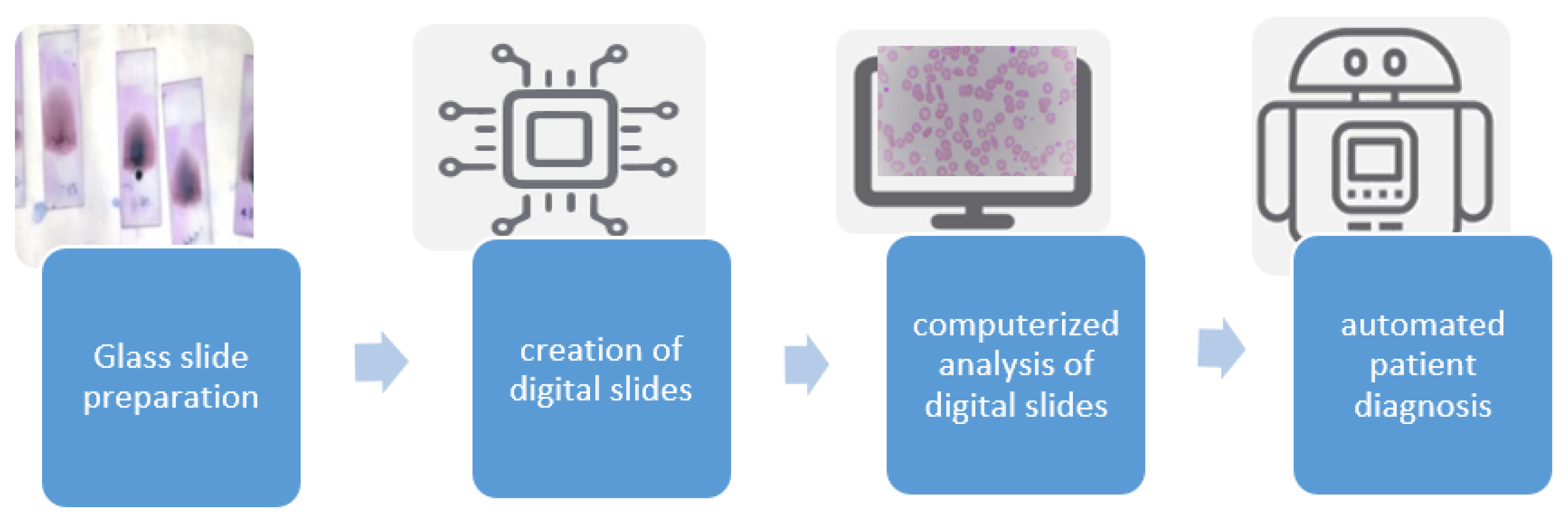 Information 15 00403 g001