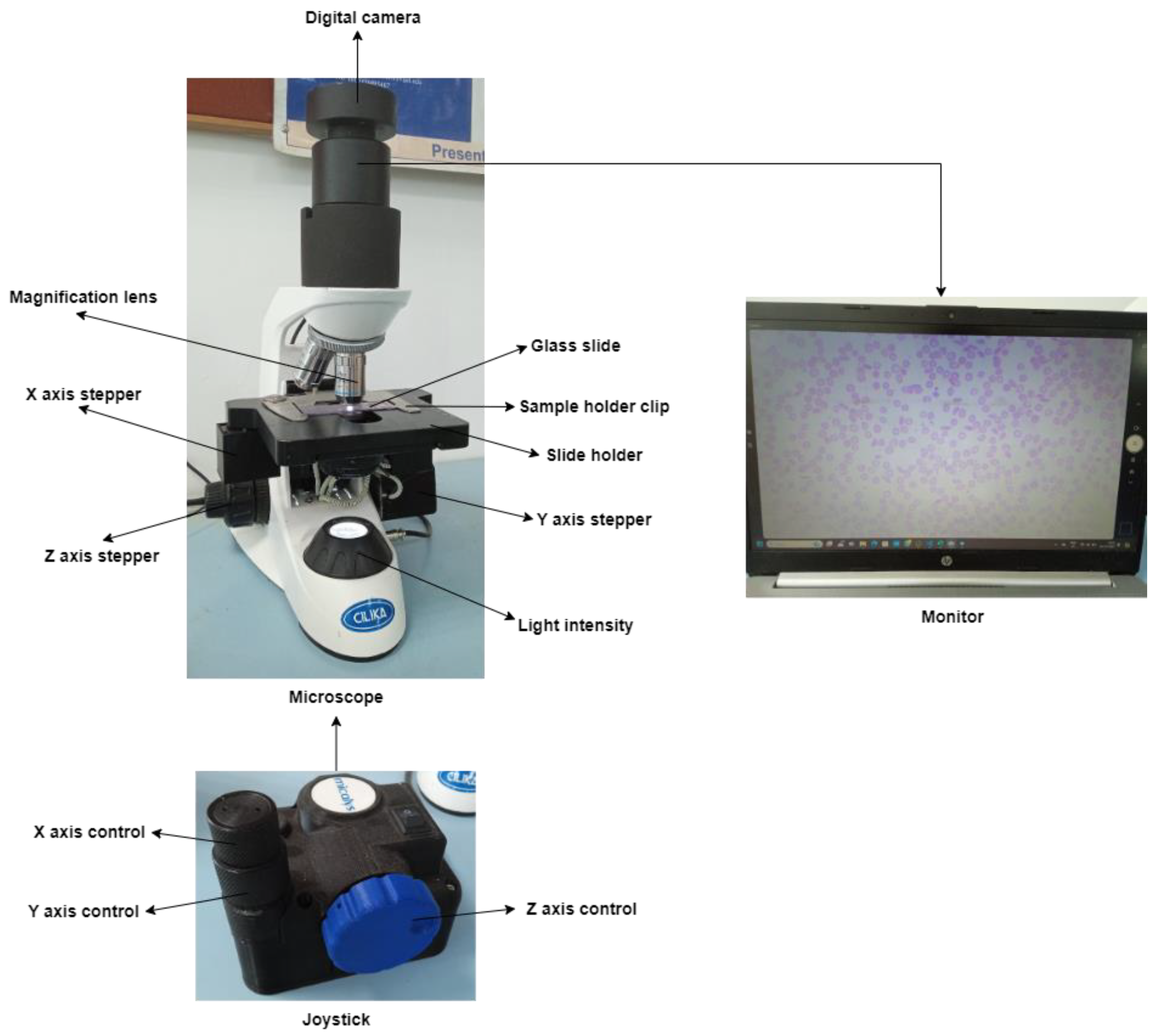 Information 15 00403 g004