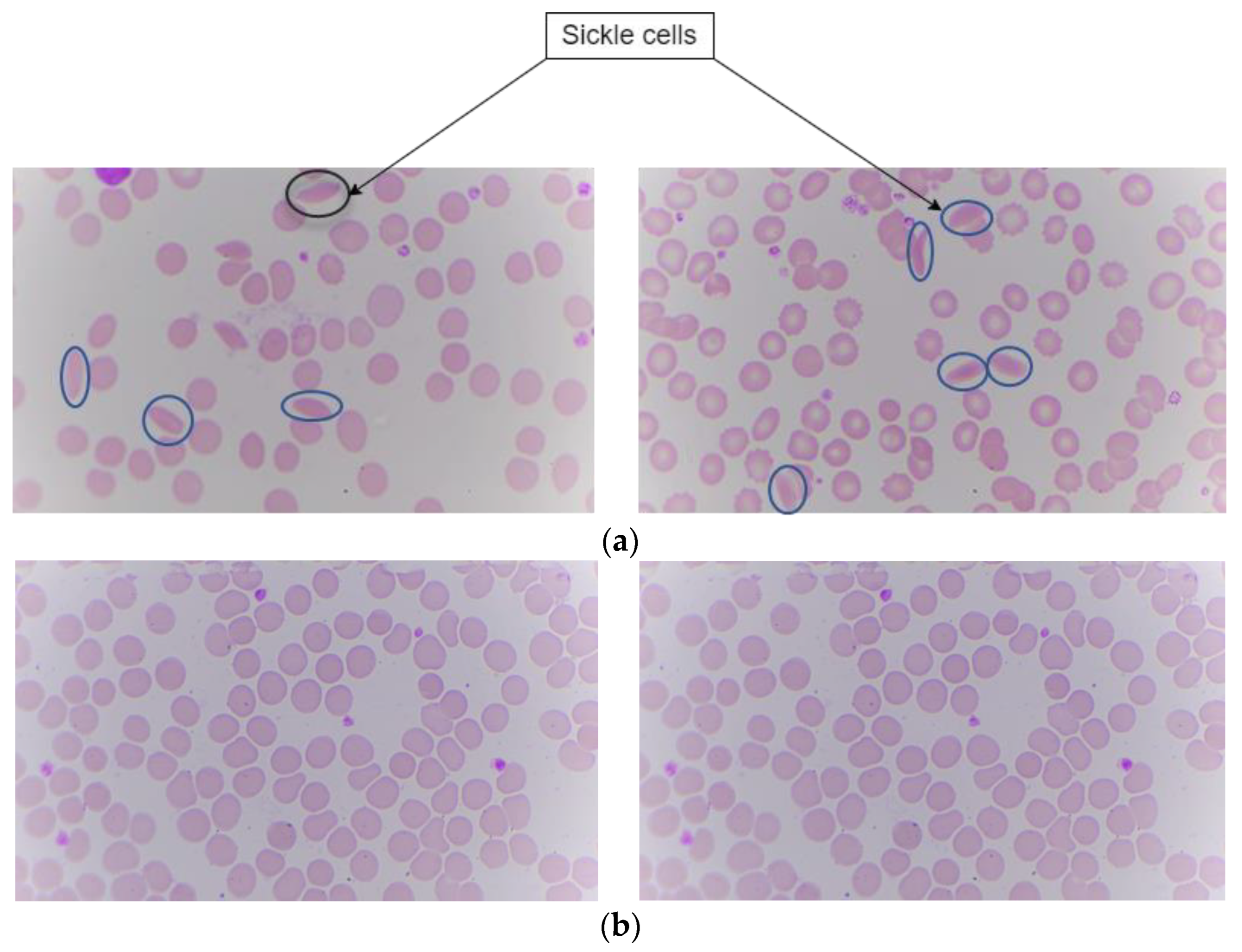 Information 15 00403 g006