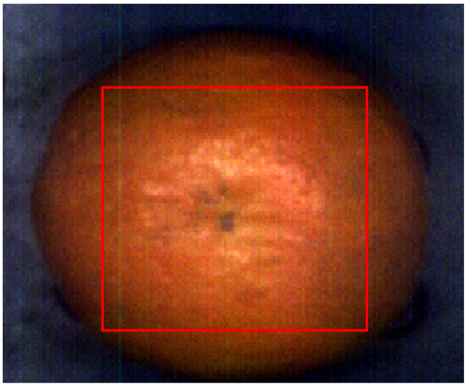 Information 15 00408 g003