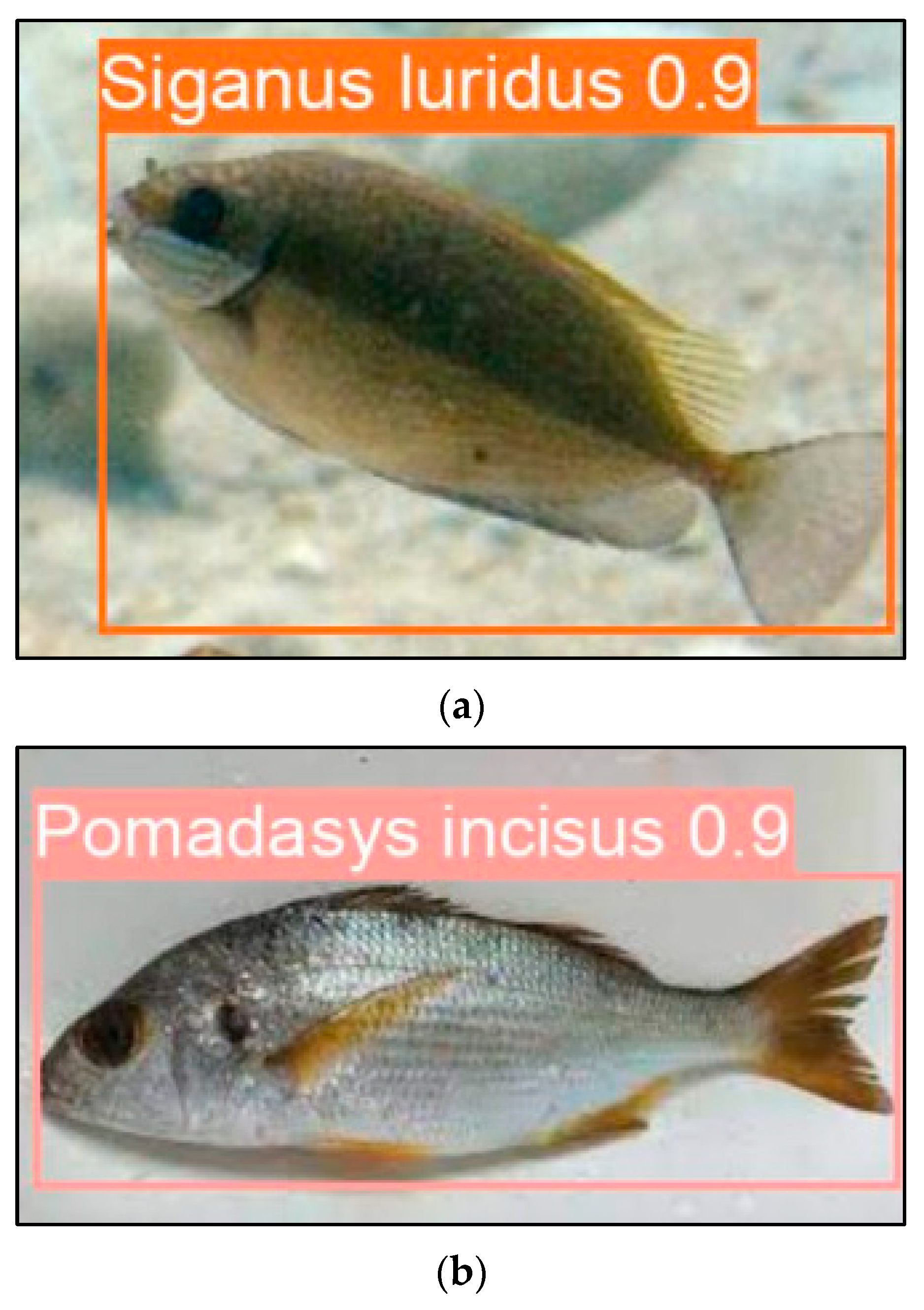 Information 15 00437 g004