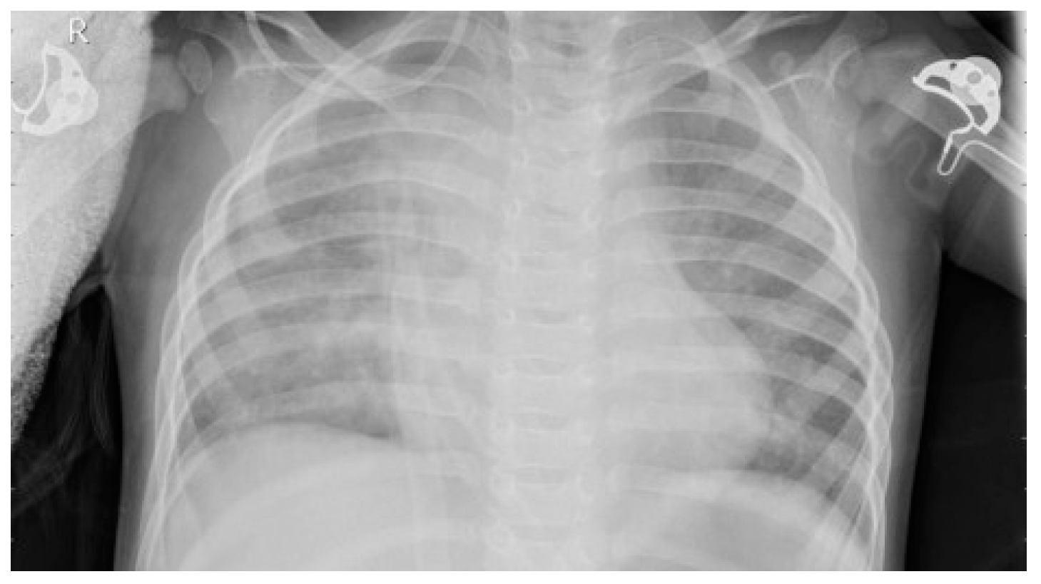 Information 15 00611 g001