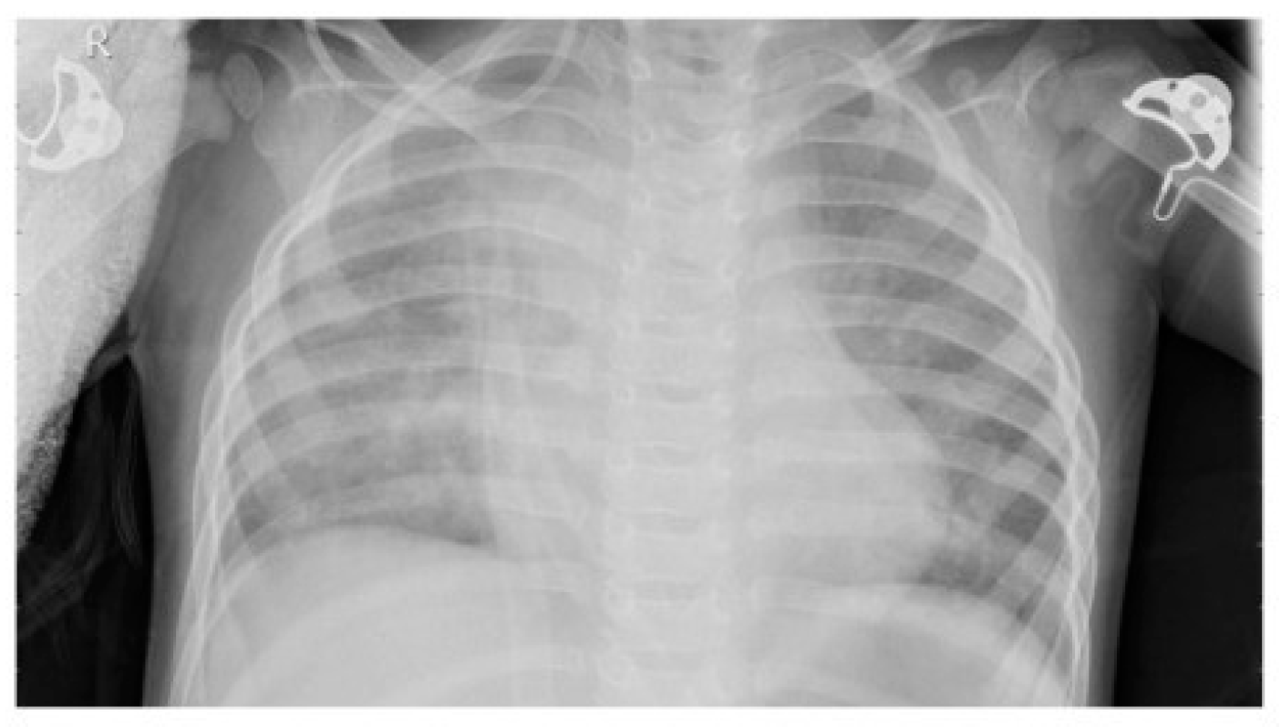 Information 15 00611 g003