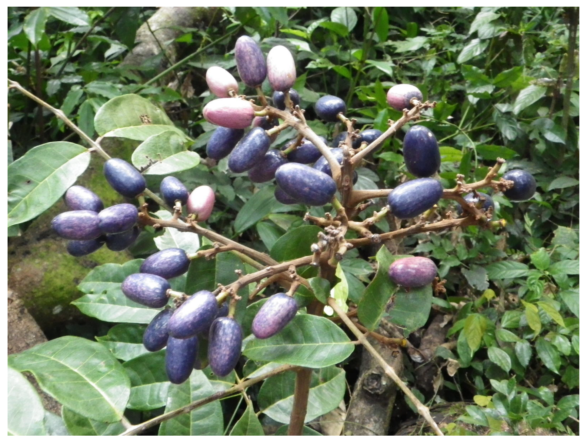 Information 15 00635 g001