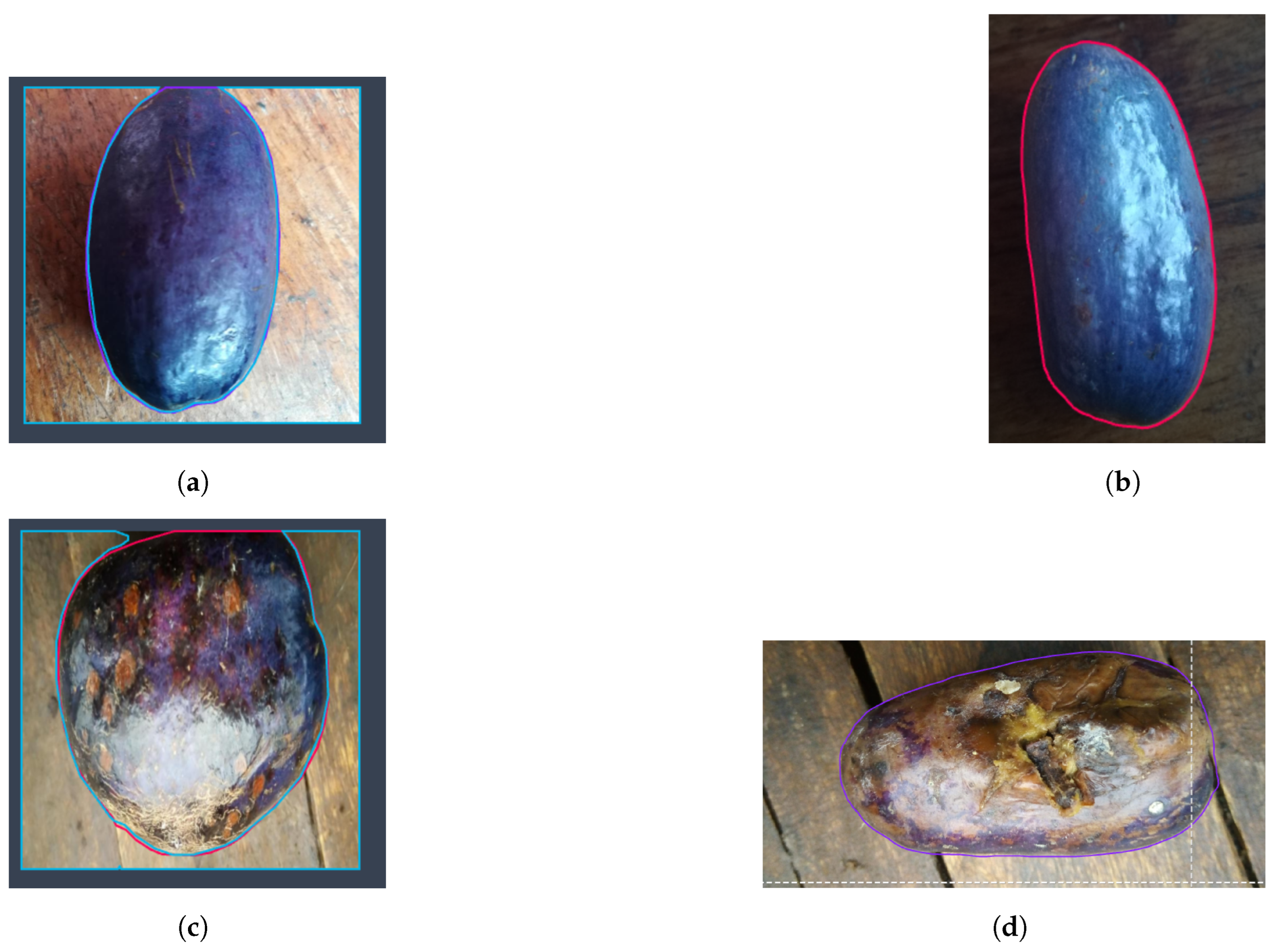 Information 15 00635 g004