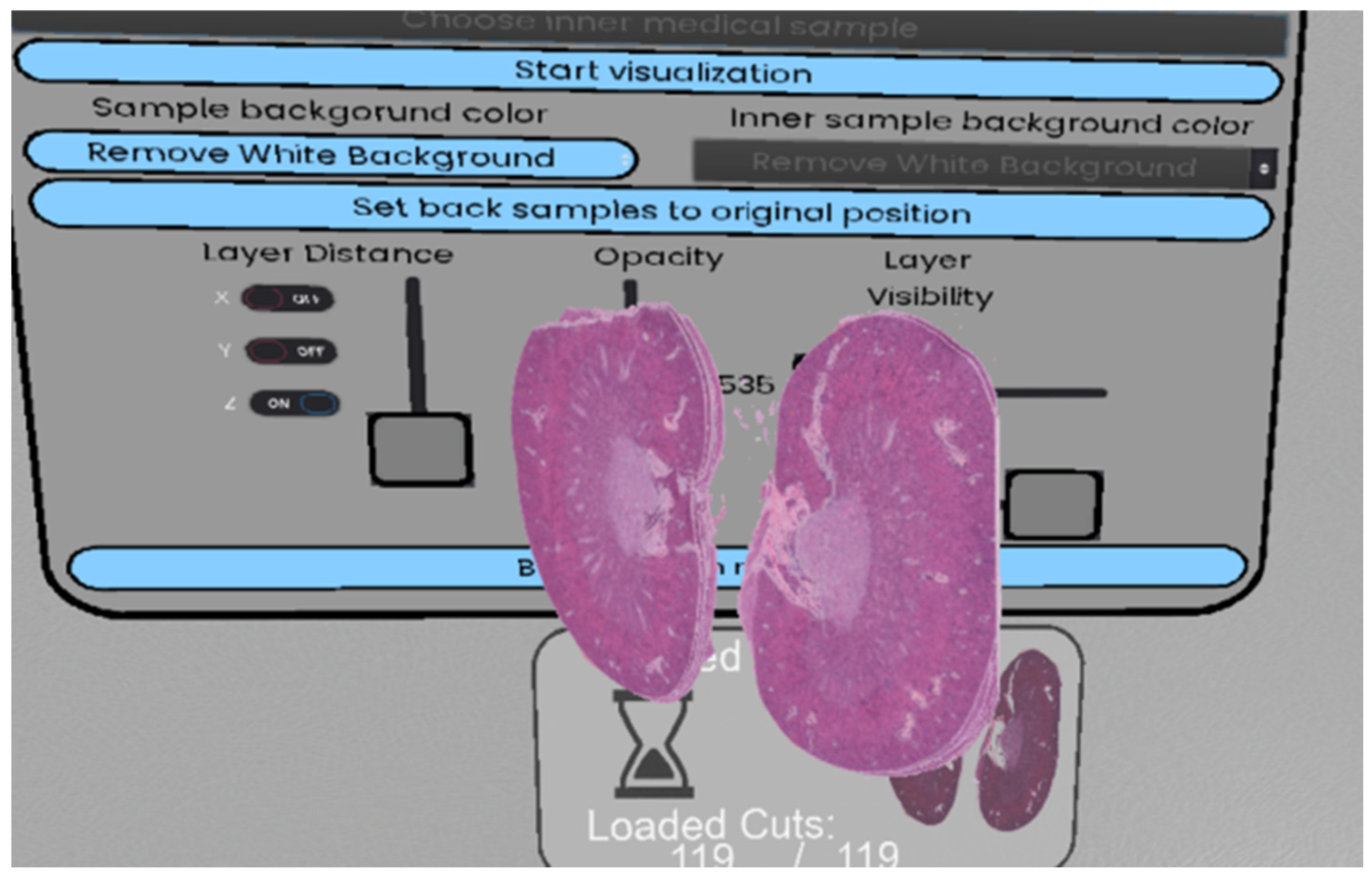 Information 16 00012 g001