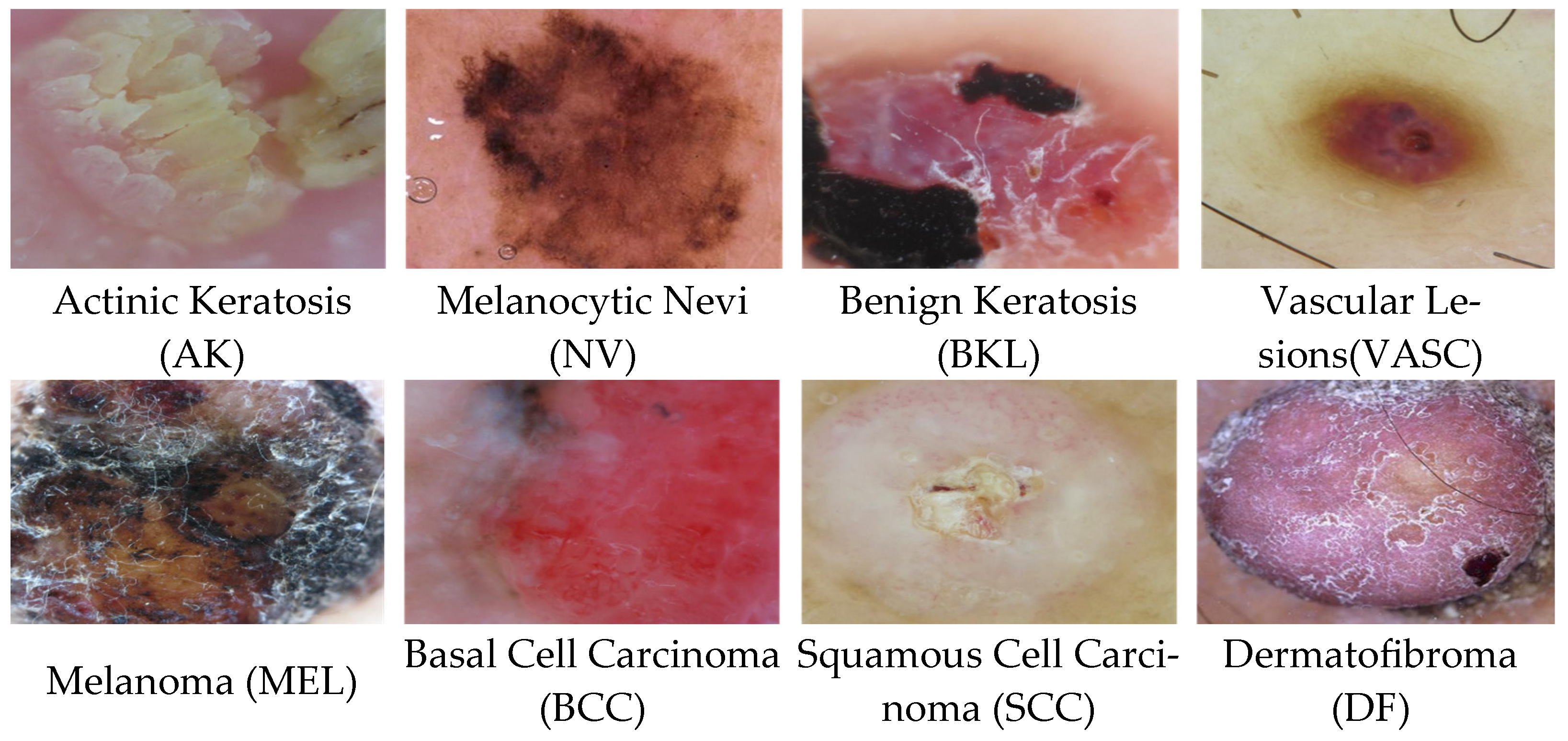 Information 16 00120 g002