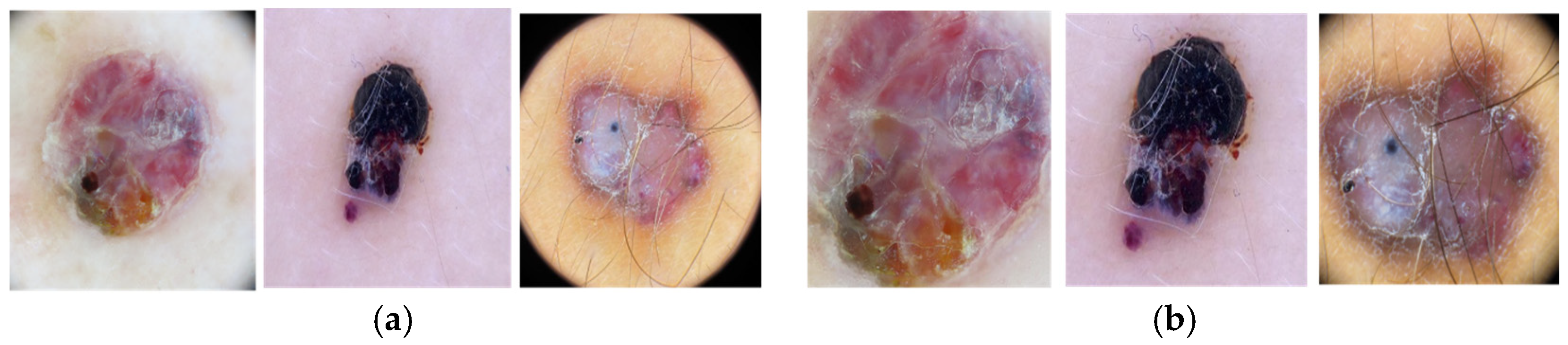 Information 16 00120 g003