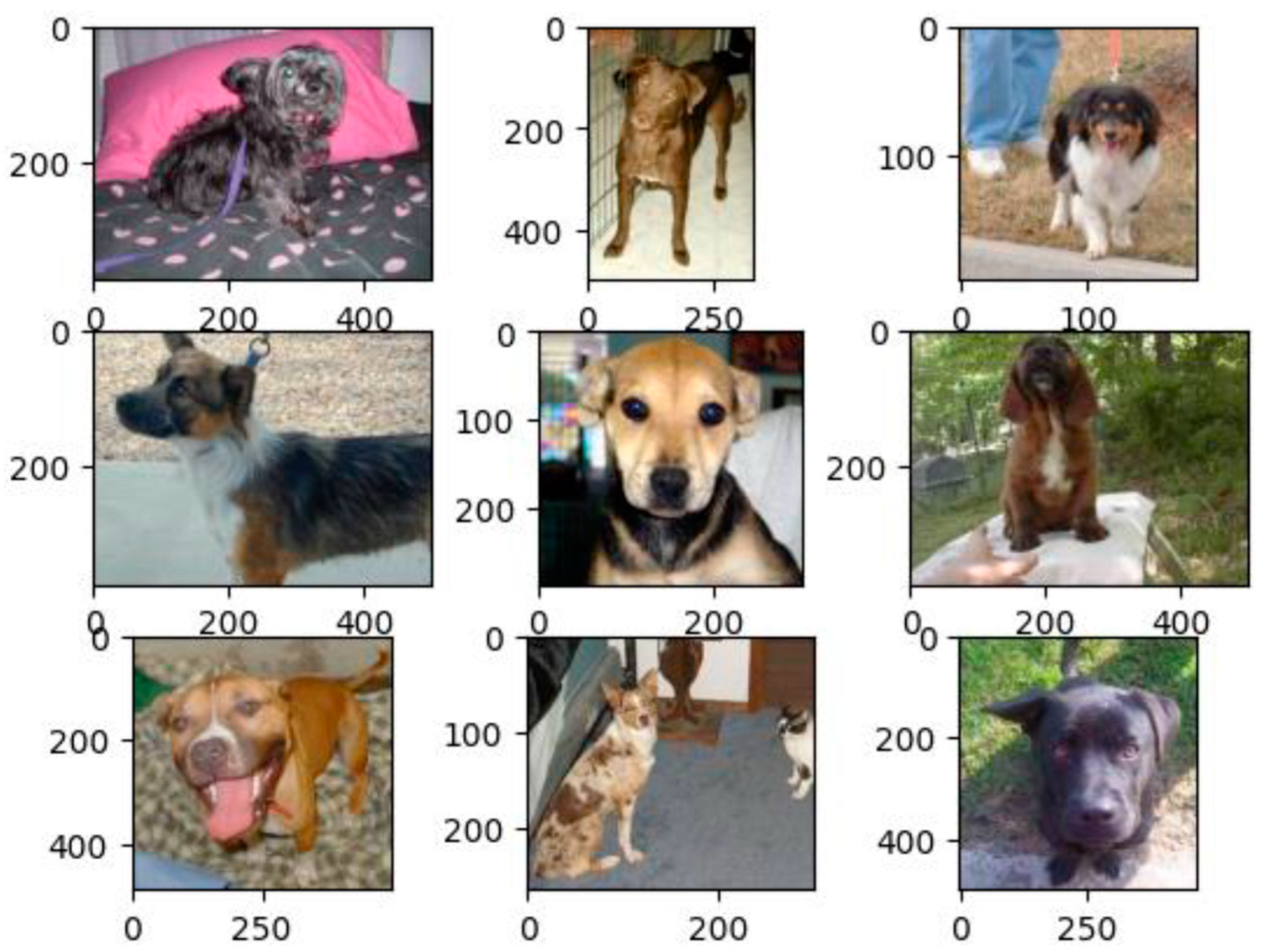 Information 16 00230 g010