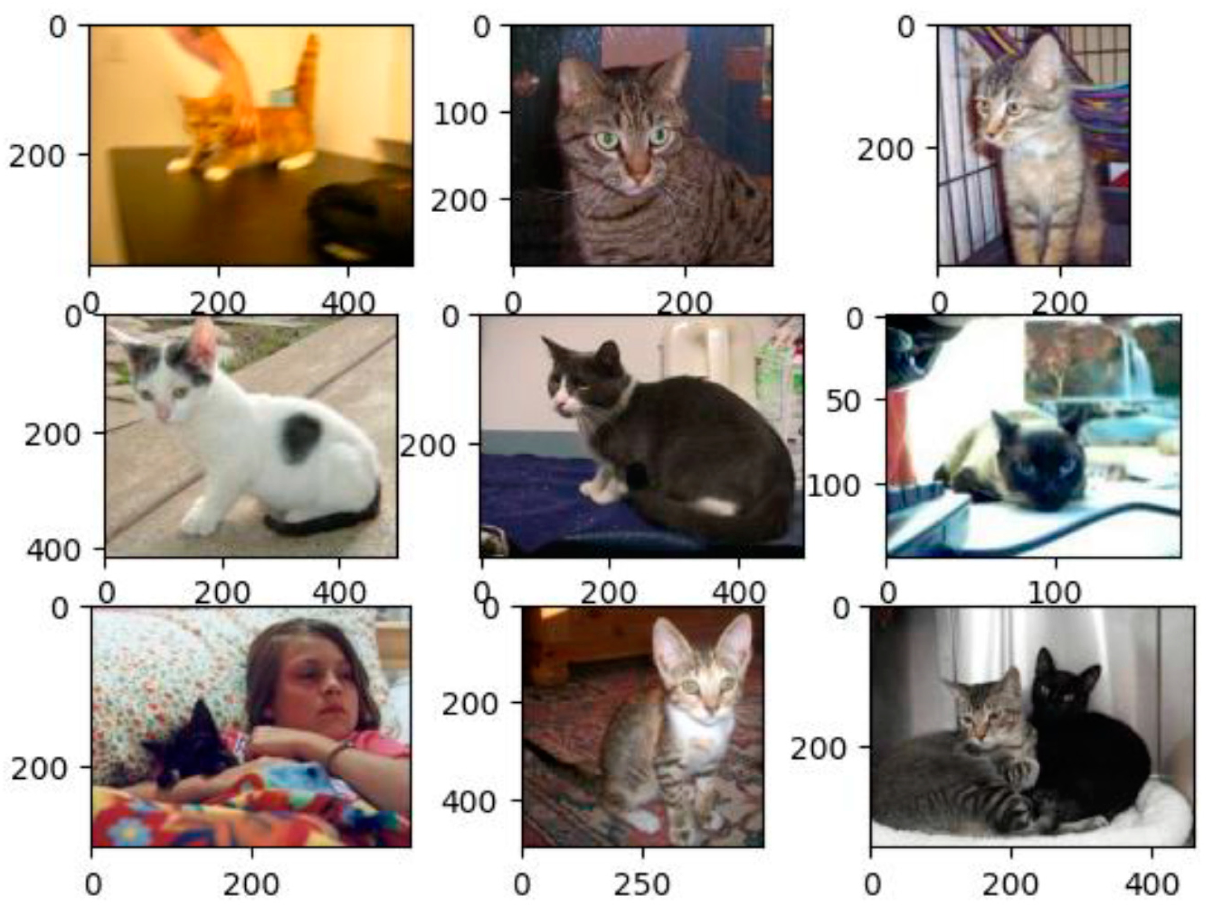 Information 16 00230 g011