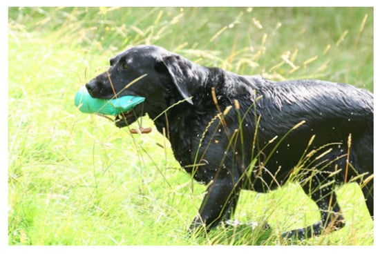 Information 16 00356 g0a11