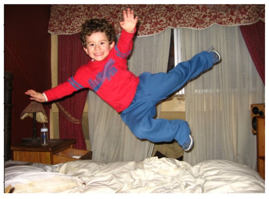 Information 16 00356 g0a13