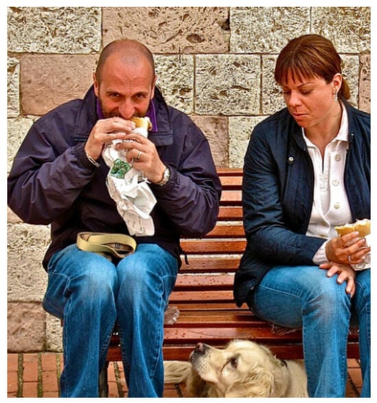 Information 16 00356 g0a4