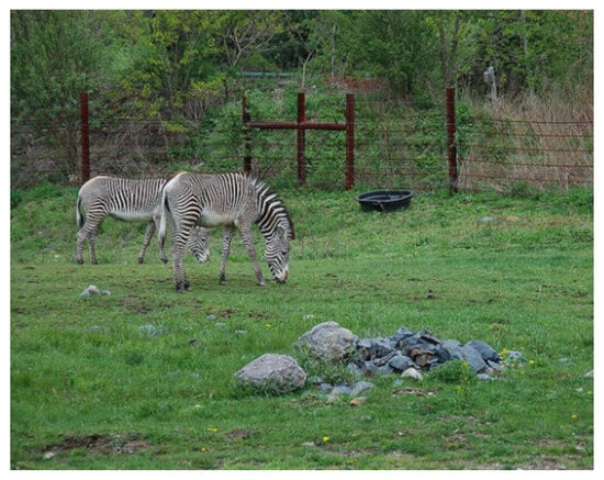 Information 16 00356 g0a5