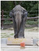 Information 16 00356 i005