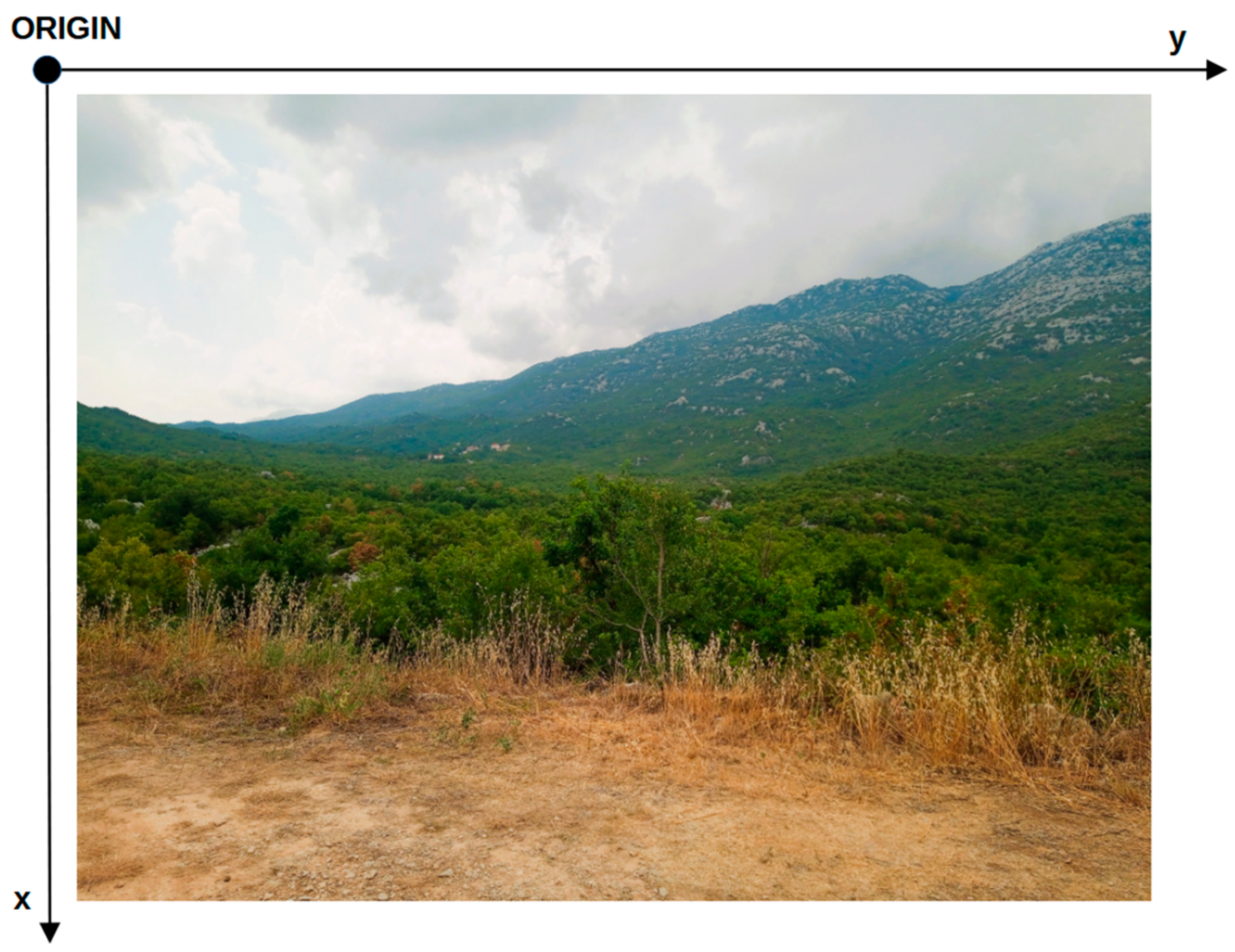 Information 16 00367 g001