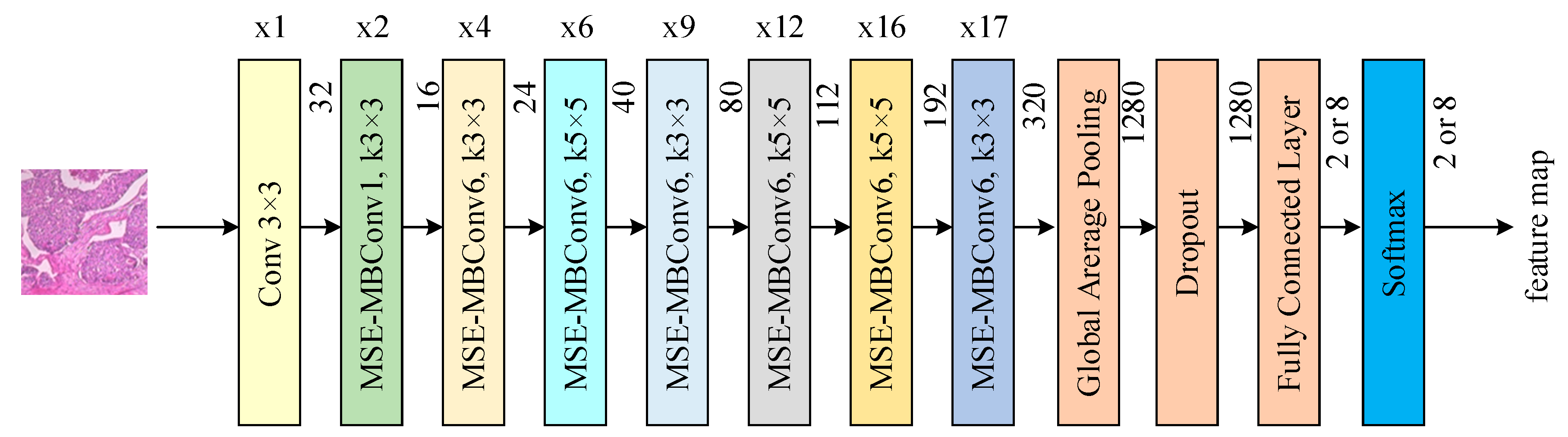 Information 16 00444 g001