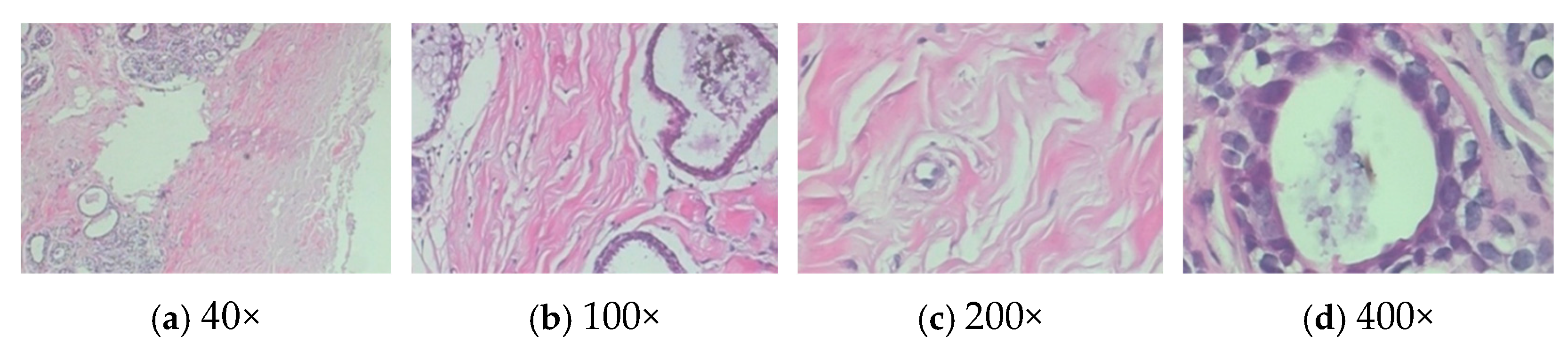 Information 16 00444 g005